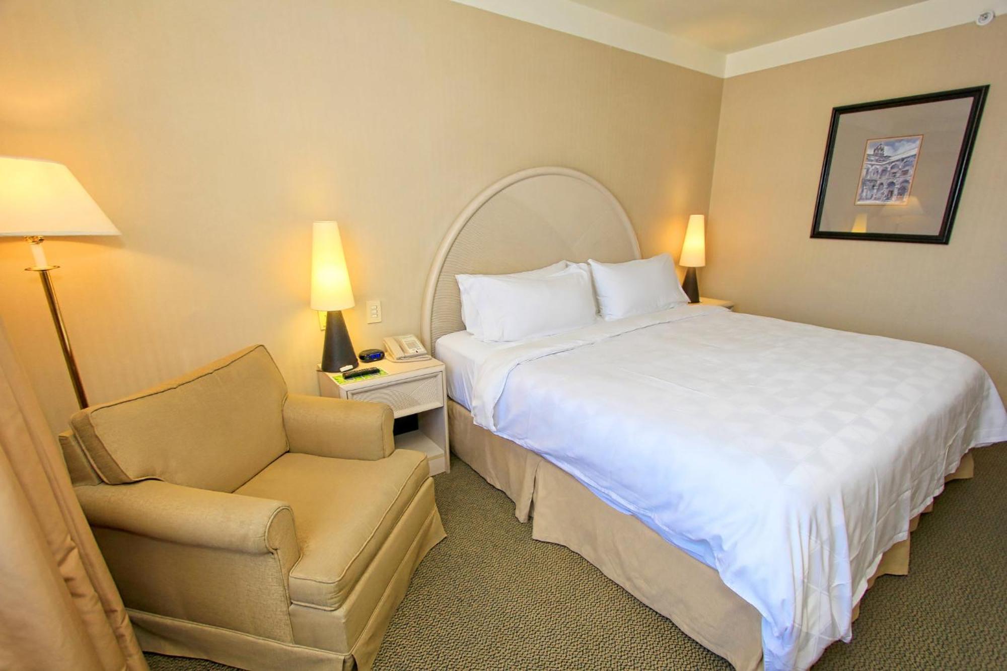 Holiday Inn Leon-Convention Center By Ihg Luaran gambar