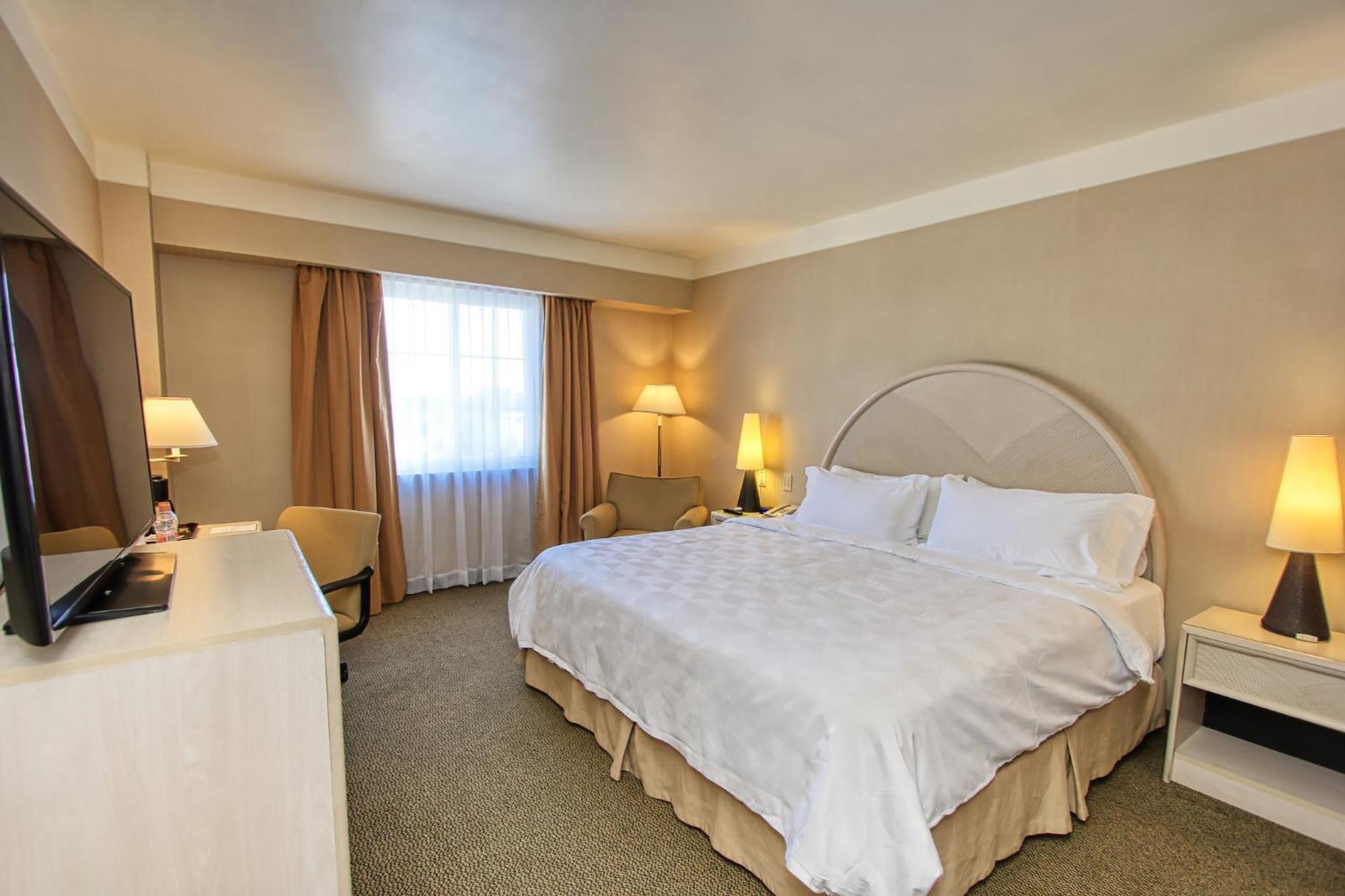 Holiday Inn Leon-Convention Center By Ihg Luaran gambar